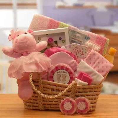 Our Precious Baby New Baby Carrier -Pink - baby bath set - baby girl gifts - new baby gift basket - baby gift baskets - baby shower gifts